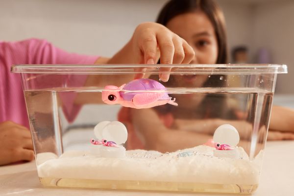 Produktbild: ZURU Pets Alive - Mommy Turtle & Baby Surprise