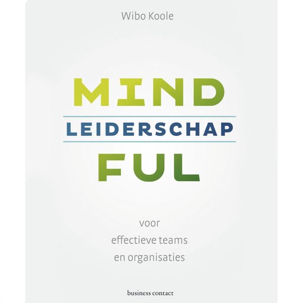 Produktbild: Mindful leiderschap