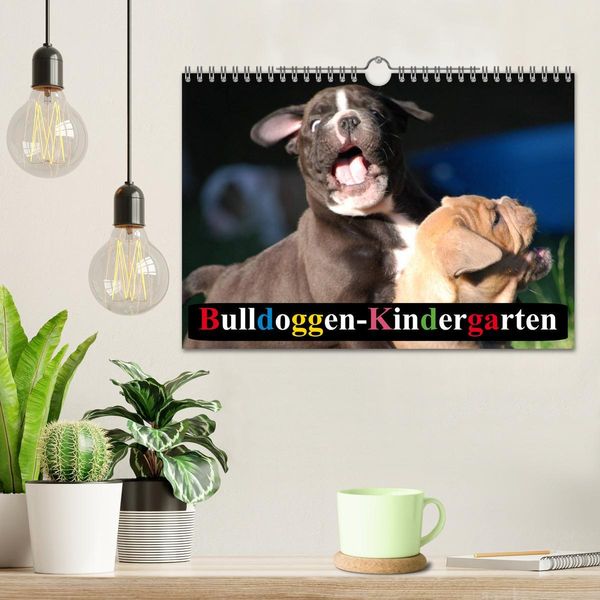 Produktbild: Bulldoggen-Kindergarten (Wandkalender 2026 DIN A4 quer), CALVENDO Monatskalender