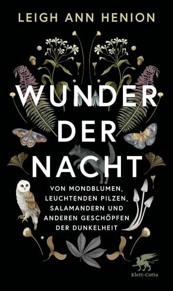 Produktbild: Wunder der Nacht
