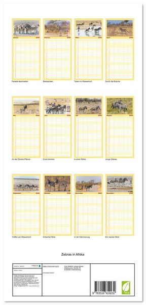 Produktbild: Familienplaner 2026 - Zebras in Afrika mit 5 Spalten (Wandkalender, 21 x 45 cm) CALVENDO