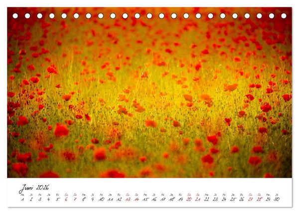 Produktbild: Mohnwiesen (Tischkalender 2026 DIN A5 quer), CALVENDO Monatskalender