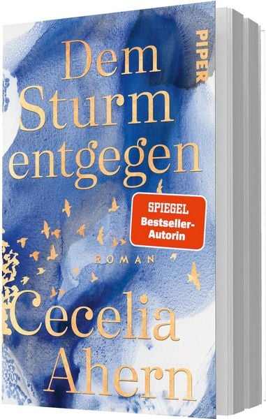 Produktbild: Dem Sturm entgegen