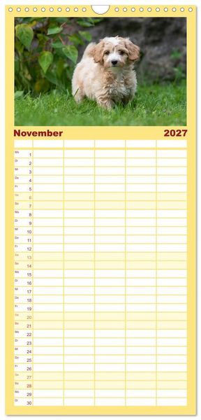 Produktbild: Familienplaner 2027 - Maltipoo Welpen mit 5 Spalten (Wandkalender, 21 x 45 cm) CALVENDO