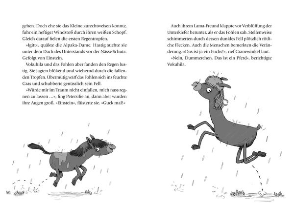Produktbild: Die Lama-Gang. Mit Herz & Spucke 4: Auf die Hufe, fertig los!