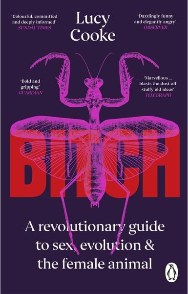 Produktbild: Bitch