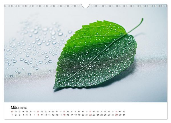 Produktbild: Minimalistische Naturmomente &ndash; Ruhe und Sch&ouml;nheit in der Natur (Wandkalender 2026 DIN A3 quer), CALVENDO Monatskalender