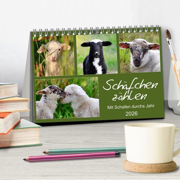 Produktbild: Sch&auml;fchen z&auml;hlen - Mit Schafen durchs Jahr (Tischkalender 2026 DIN A5 quer), CALVENDO Monatskalender