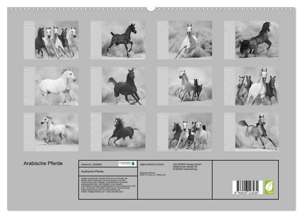 Produktbild: Arabische Pferde (hochwertiger Premium Wandkalender 2026 DIN A2 quer), Kunstdruck in Hochglanz