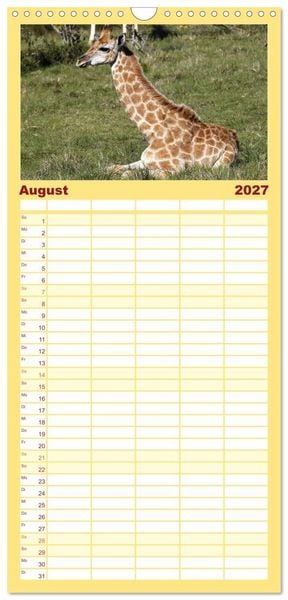 Produktbild: Familienplaner 2027 - Wildes Kinderzimmer - Tierkinder in Afrika mit 5 Spalten (Wandkalender, 21 x 45 cm) CALVENDO