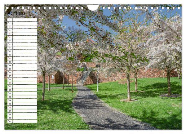 Produktbild: Lutherstadt Eisleben (Wandkalender 2026 DIN A4 quer), CALVENDO Monatskalender