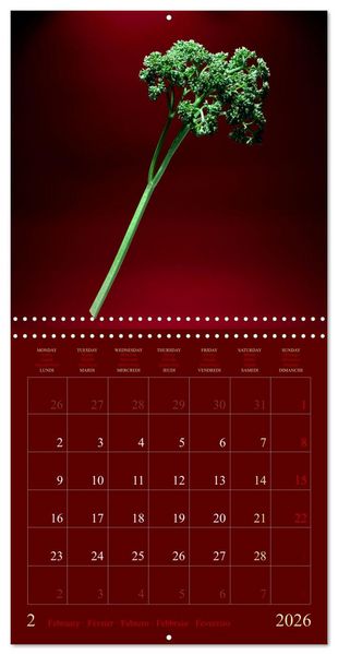 Produktbild: Les l&eacute;gumes hauts en couleur (Calendrier mural carr&eacute; 2026 30x30 cm) Calendrier double avec une page pour vos prises de notes