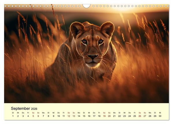 Produktbild: Majest&auml;tische L&ouml;wen - Die Herrscher der Wildnis (Wandkalender 2026 DIN A3 quer), CALVENDO Monatskalender