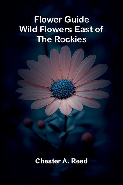 Produktbild: Flower Guide