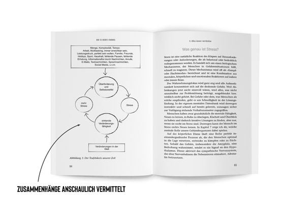 Produktbild: Die 13 Hertz Formel  Spiegelbestseller, mit der Kraft deiner Gehirnfrequenzen S