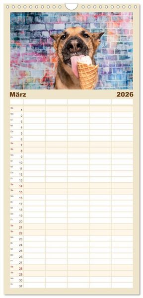 Produktbild: Familienplaner 2026 - Cool Dogs - Hunde-Spa&szlig; im Studio mit 5 Spalten (Wandkalender, 21 x 45 cm) CALVENDO