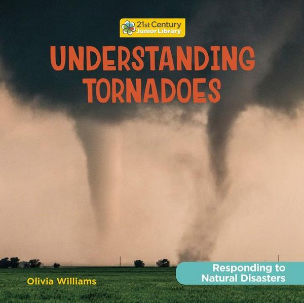 Produktbild: Understanding Tornadoes