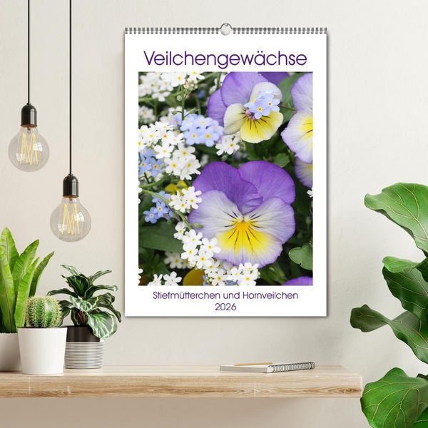 Produktbild: Veilchengew&auml;chse Stiefm&uuml;tterchen und Hornveilchen (Wandkalender 2026 DIN A2 hoch), CALVENDO Monatskalender