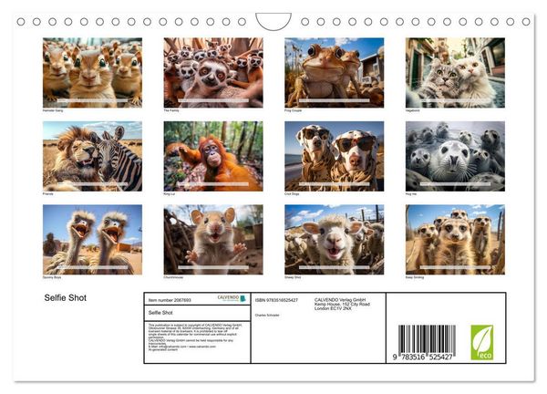 Produktbild: Selfie Shot (Wall Calendar 2026 DIN A4 landscape), CALVENDO 12 Month Wall Calendar