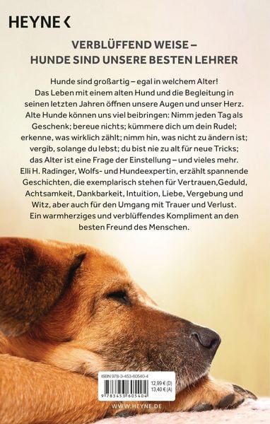 Produktbild: Die Weisheit alter Hunde