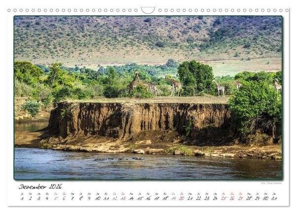 Produktbild: Abenteuer Masai Mara (Wandkalender 2026 DIN A3 quer), CALVENDO Monatskalender