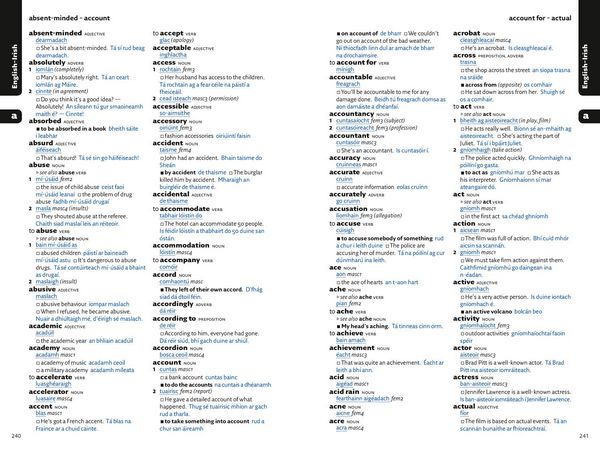 Produktbild: Easy Learning Irish Dictionary