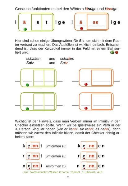 Produktbild: Professionelles Wissen &uuml;ber Rechtschreibung f&uuml;r Schule und F&ouml;rderung