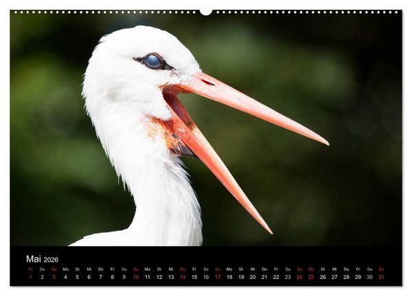 Produktbild: Tierkalender 2026 (hochwertiger Premium Wandkalender 2026 DIN A2 quer), Kunstdruck in Hochglanz