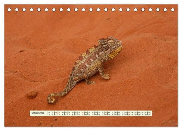 Produktbild: Reptilien des s&uuml;dlichen Afrikas (Tischkalender 2026 DIN A5 quer), CALVENDO Monatskalender