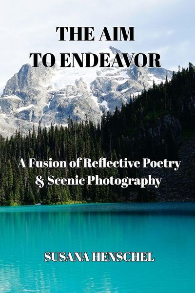 Produktbild: The Aim to Endeavor