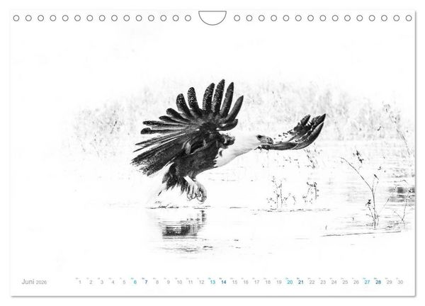 Produktbild: AFRIKA - Schwarz-weiss Fotografien im modernen "High Key" Look (Wandkalender 2026 DIN A4 quer), CALVENDO Monatskalender