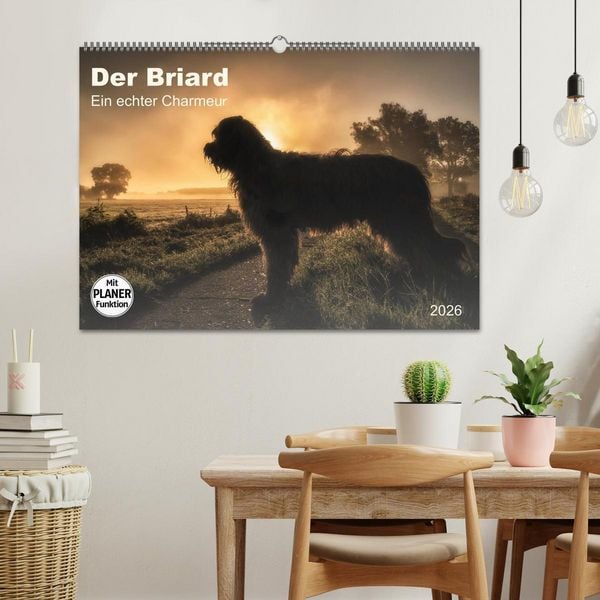 Produktbild: Der Briard 2026 - Ein echter Charmeur (Wandkalender 2026 DIN A2 quer), CALVENDO Monatskalender