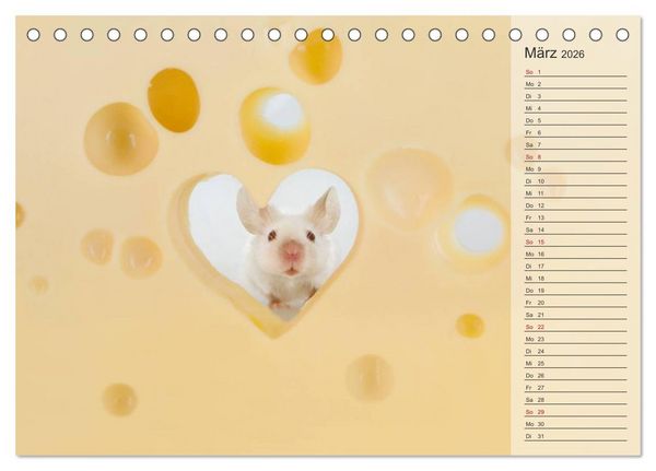 Produktbild: Tage von Herzen (Tischkalender 2026 DIN A5 quer), CALVENDO Monatskalender