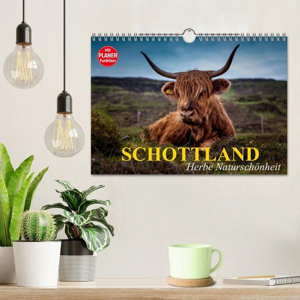 Produktbild: Schottland. Herbe Natursch&ouml;nheit (Wandkalender 2026 DIN A4 quer), CALVENDO Monatskalender