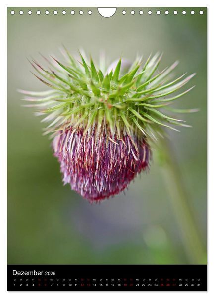 Produktbild: Ganz nah an der Natur (Wandkalender 2026 DIN A4 hoch), CALVENDO Monatskalender