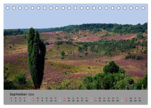 Produktbild: L&uuml;neburger Heide - sch&ouml;n zu jeder Jahreszeit (Tischkalender 2026 DIN A5 quer), CALVENDO Monatskalender