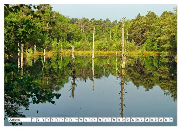 Produktbild: Impressionen aus dem Moor (hochwertiger Premium Wandkalender 2026 DIN A2 quer), Kunstdruck in Hochglanz