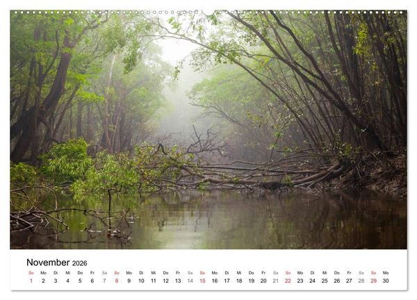 Produktbild: Mythos Amazonas - Naturparadies Brasiliens (Wandkalender 2026 DIN A2 quer), CALVENDO Monatskalender