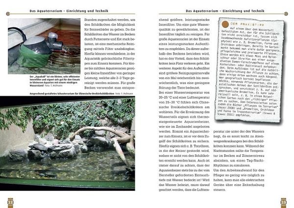 Produktbild: Die Chinesische Dreikielschildkr&ouml;te
