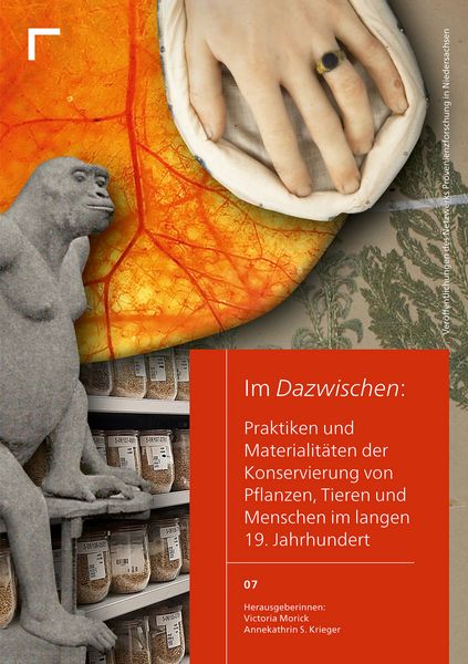Produktbild: Im Dazwischen