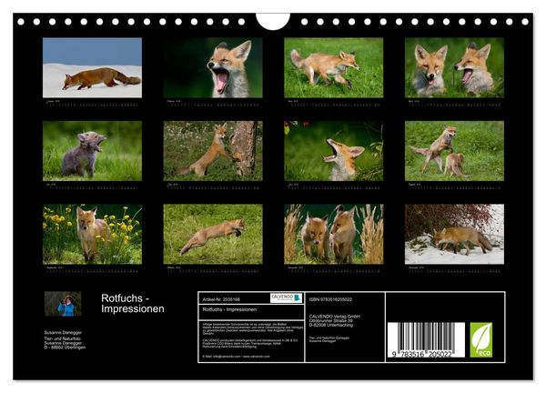Produktbild: Rotfuchs - Impressionen (Wandkalender 2026 DIN A4 quer), CALVENDO Monatskalender