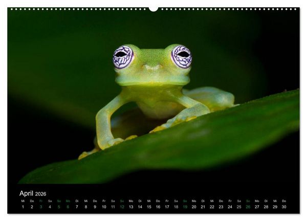 Produktbild: Costa Rica - Faszination Fr&ouml;sche (hochwertiger Premium Wandkalender 2026 DIN A2 quer), Kunstdruck in Hochglanz