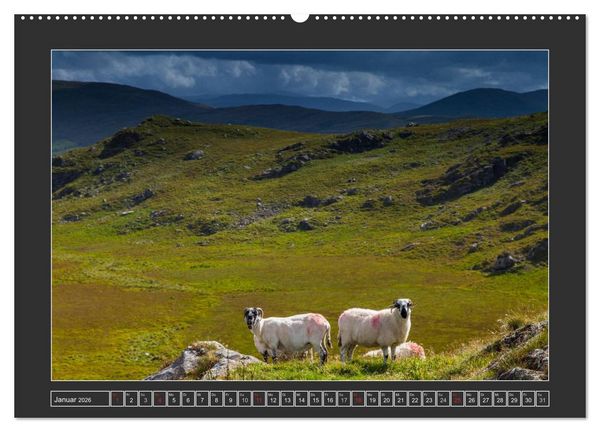 Produktbild: IRLAND - Insel der gl&uuml;cklichen Schafe (Wandkalender 2026 DIN A2 quer), CALVENDO Monatskalender