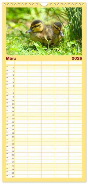 Produktbild: Familienplaner 2026 - Nachwuchs in der Tierwelt mit 5 Spalten (Wandkalender, 21 x 45 cm) CALVENDO