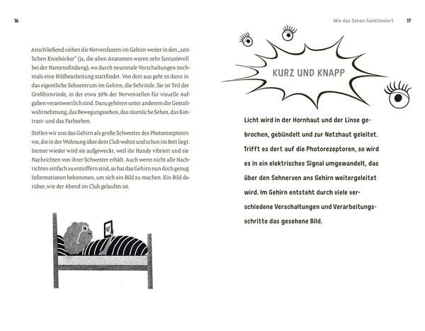 Faszination Auge