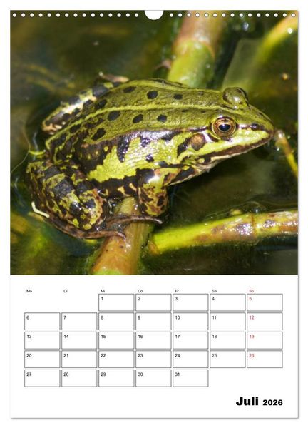 Produktbild: Heimische Wildtiere Terminplaner (Wandkalender 2026 DIN A3 hoch), CALVENDO Monatskalender