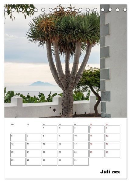 Produktbild: Wanderparadies La Palma (Tischkalender 2026 DIN A5 hoch), CALVENDO Monatskalender