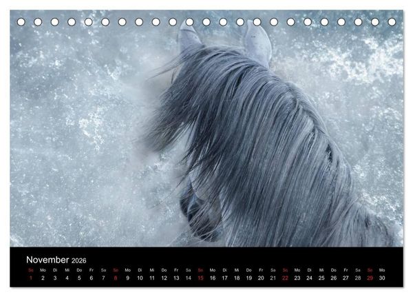 Produktbild: Pferde zum Tr&auml;umen (Tischkalender 2026 DIN A5 quer), CALVENDO Monatskalender