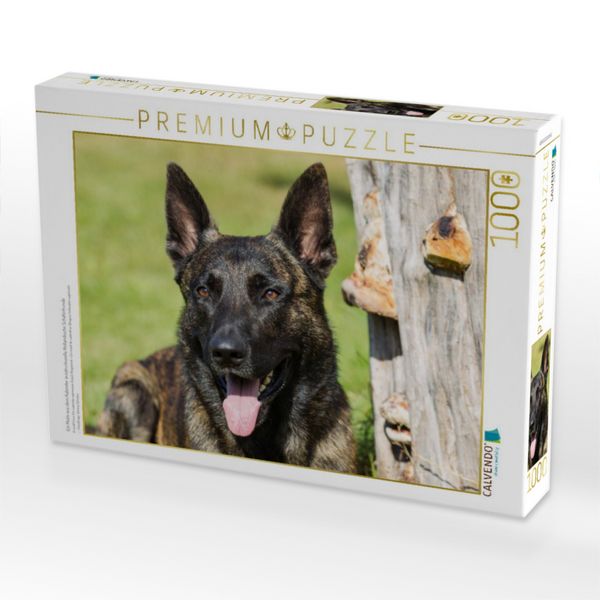 Produktbild: CALVENDO Puzzle Ein Motiv aus dem Kalender ausdrucksvolle Holl&auml;ndische Sch&auml;ferhunde | 1000 Teile Lege-Gr&ouml;&szlig;e 64x48cm Foto-Puzzle f&uuml;r gl&uuml;ckliche Stunden