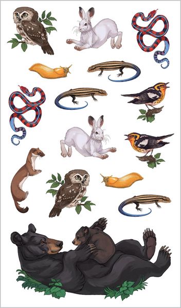 Produktbild: Wild, Wonderful Tattoo Woodland Animals